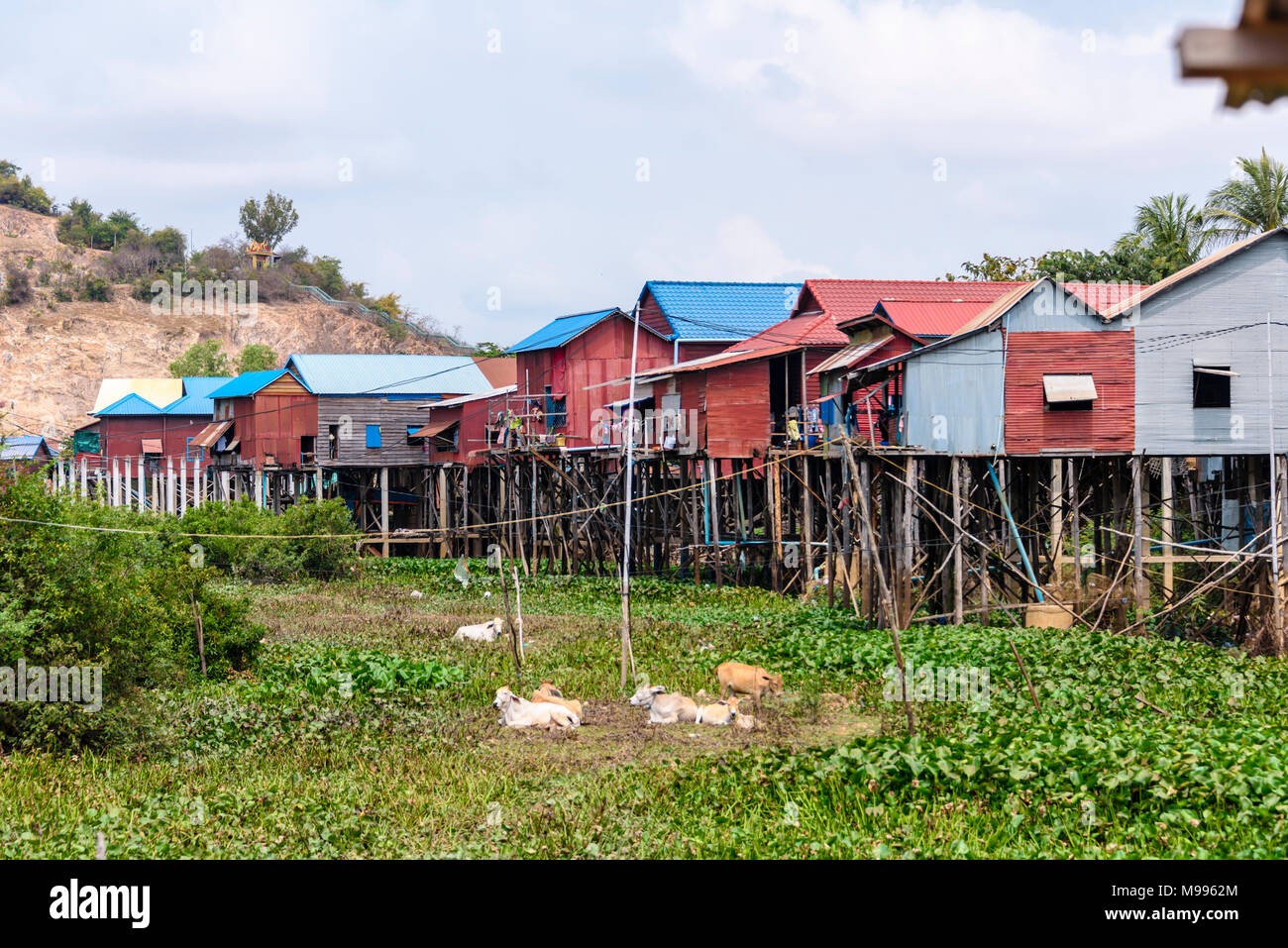 Houses made from corrugated iron on wooden stilts in a poor, rural village with a dirt track road in Cambodia. Stock Photo