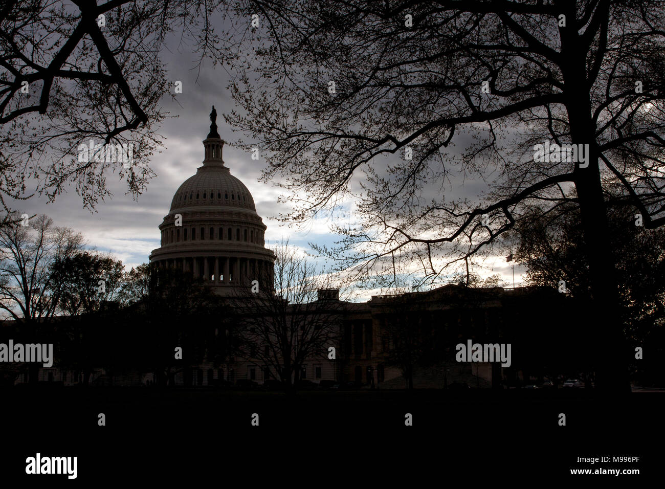 The United States Capitol building in Washington, D.C. Stock Photo
