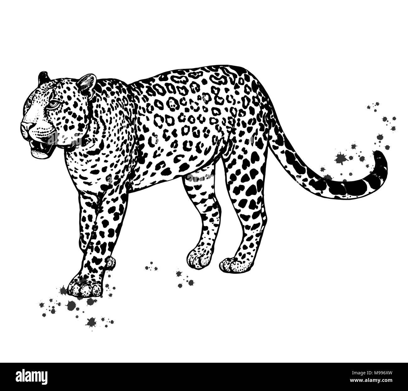 Hand drawn sketch style leopard isolated on white background. Vector ...