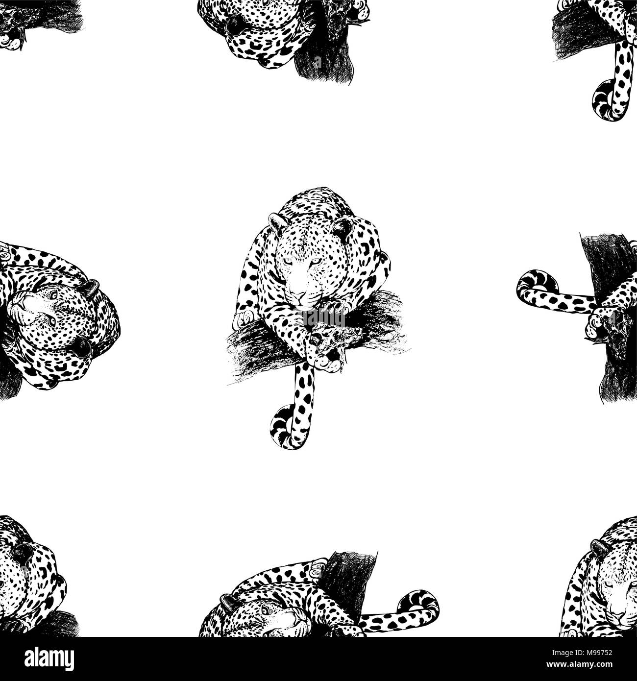 Seamless pattern of hand drawn sketch style leopards isolated on white ...
