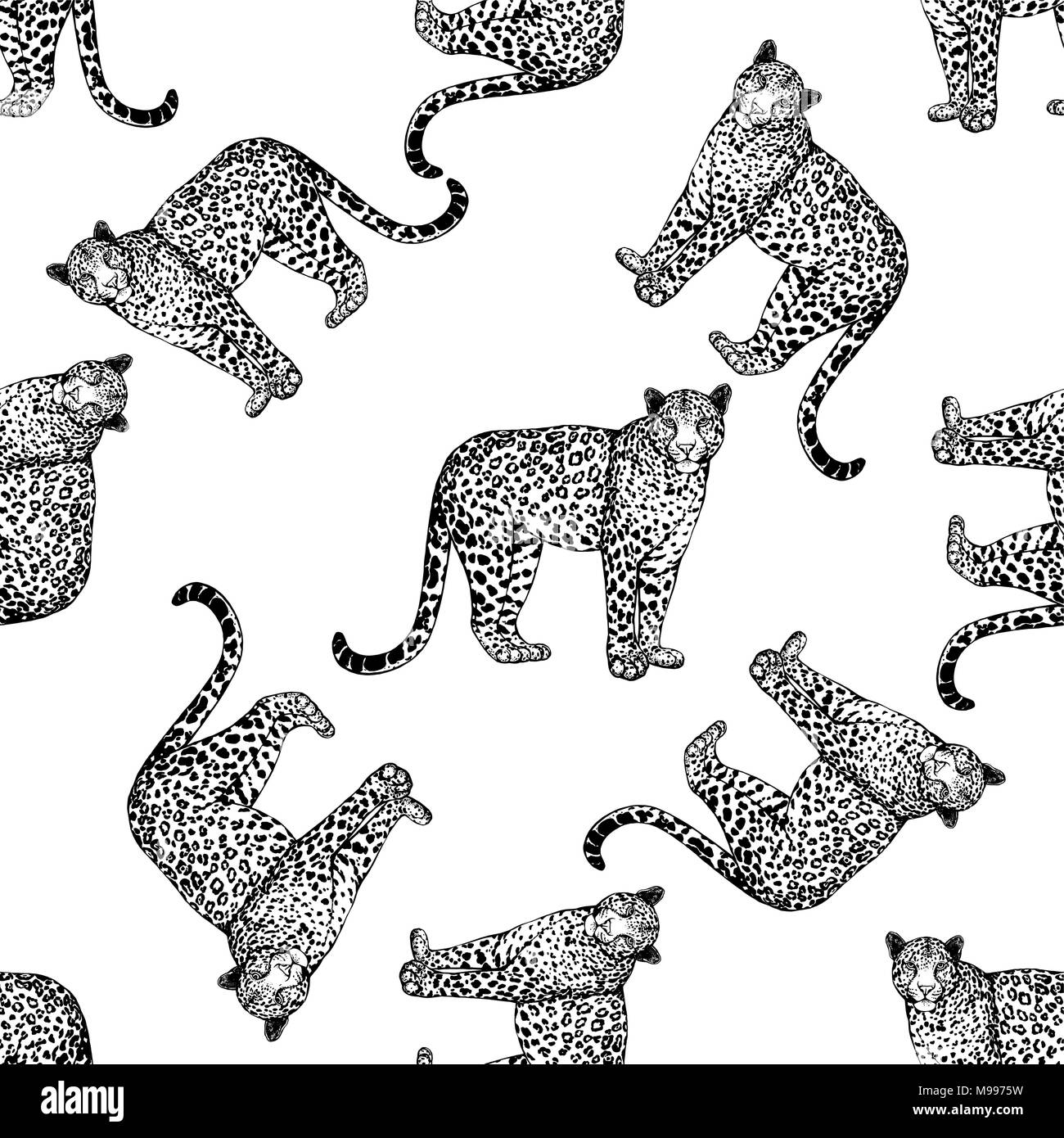 Seamless pattern of hand drawn sketch style leopards isolated on white ...