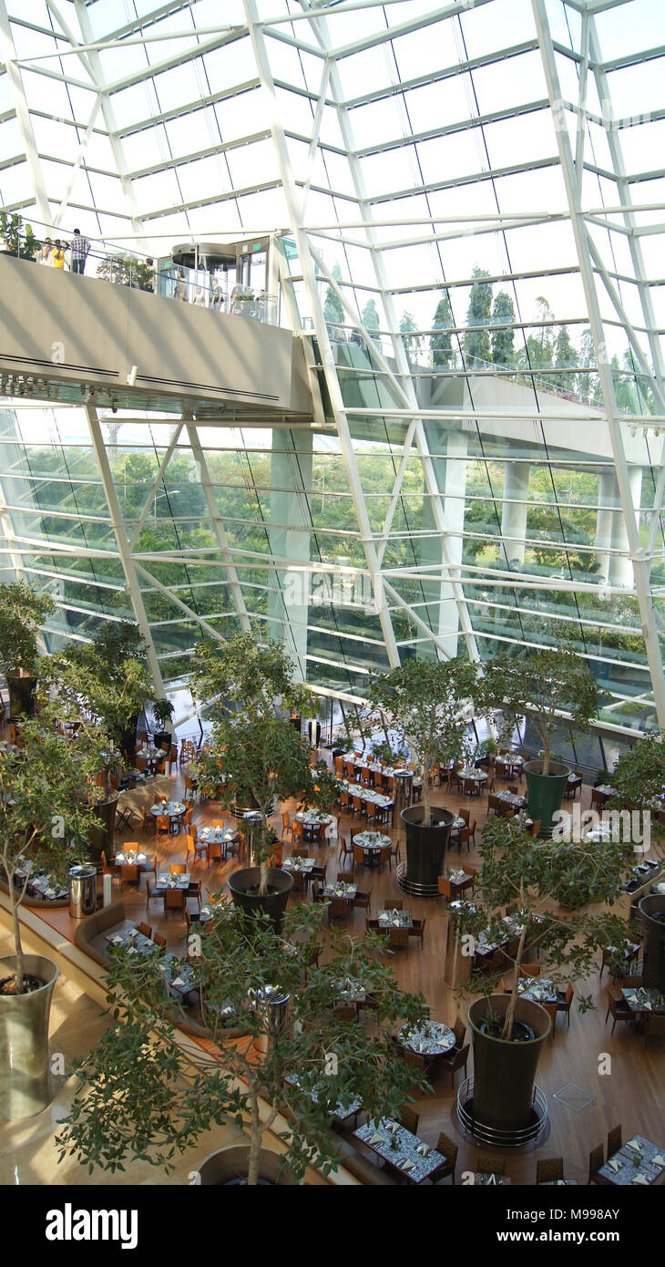 Skyline Suite In Marina Bay Sands Singapore Hotel