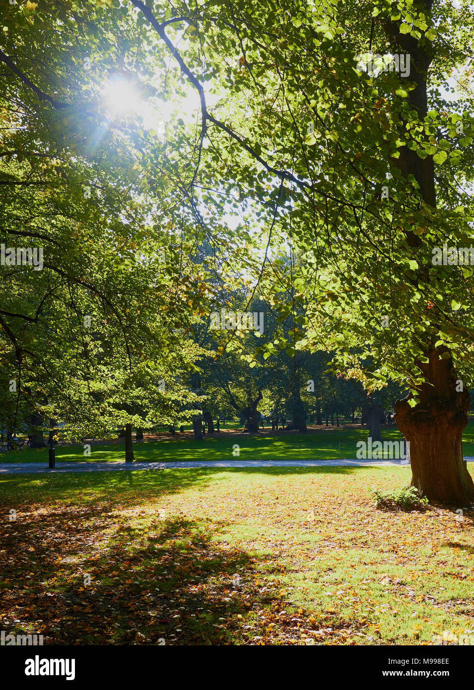 Humlegarden park in ostermalm stockholm hi-res stock photography and ...
