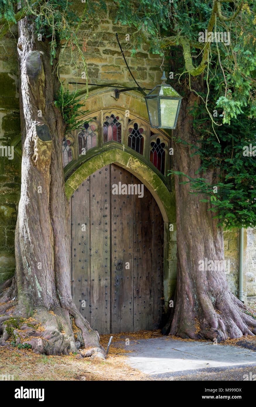 Trees growing around one of the doorways to St. Edwards Church, Stow-on-the-Wold, Cotswolds, Gloucestershire, England Stock Photo