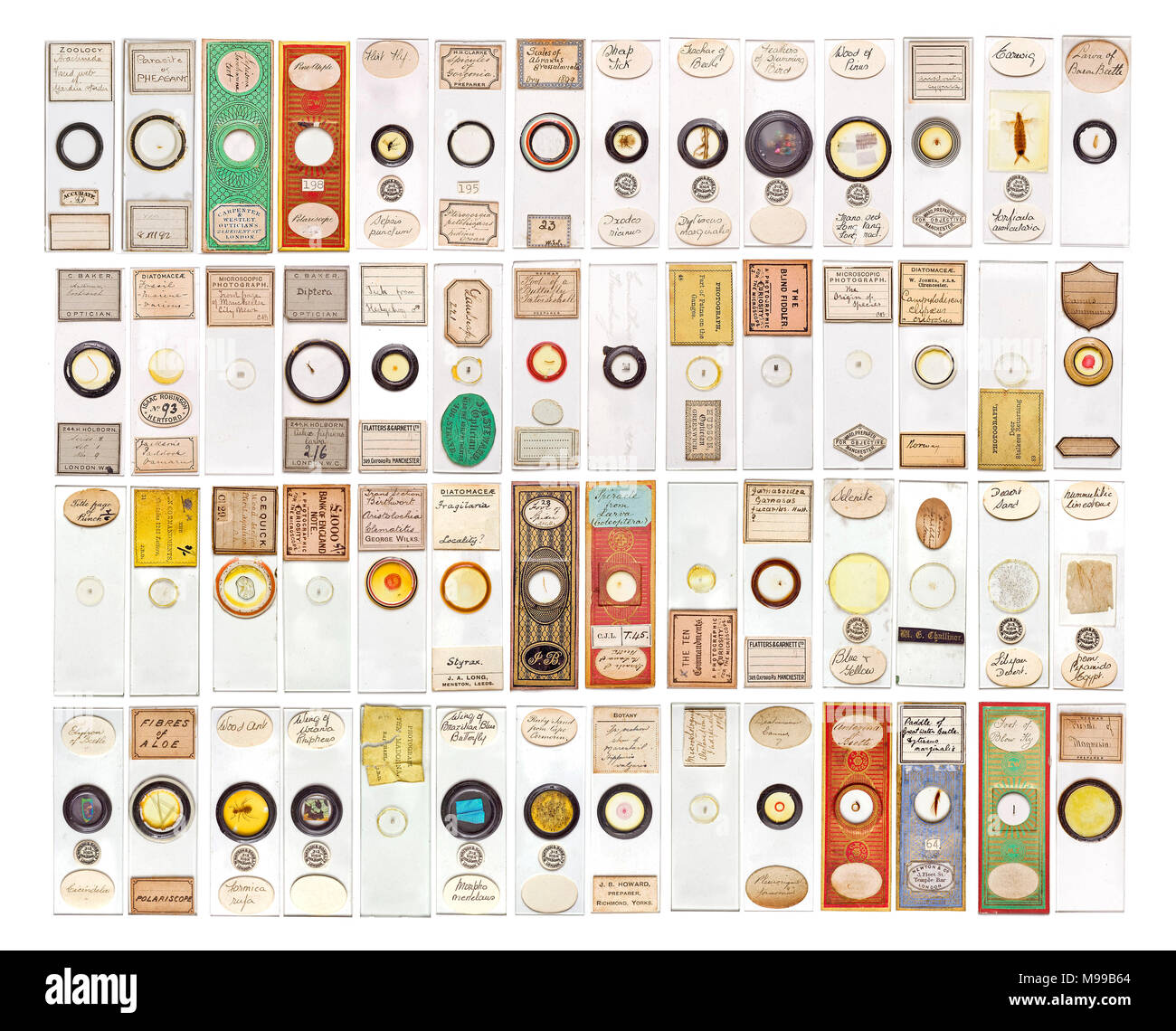 A selection of vintage microscope specimen slides Stock Photo