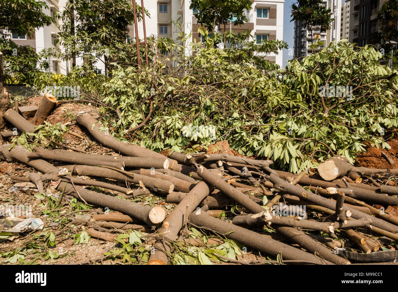 INDIA CIRCA MARCH 2018 Trees cut for road widening in new development