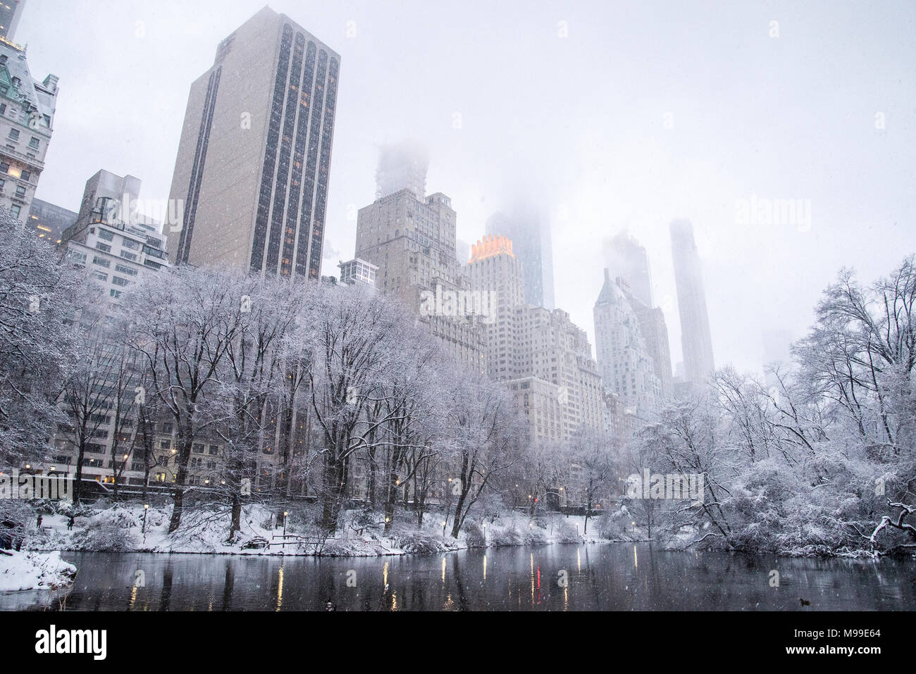 Snow storm I’m Central Park Stock Photo
