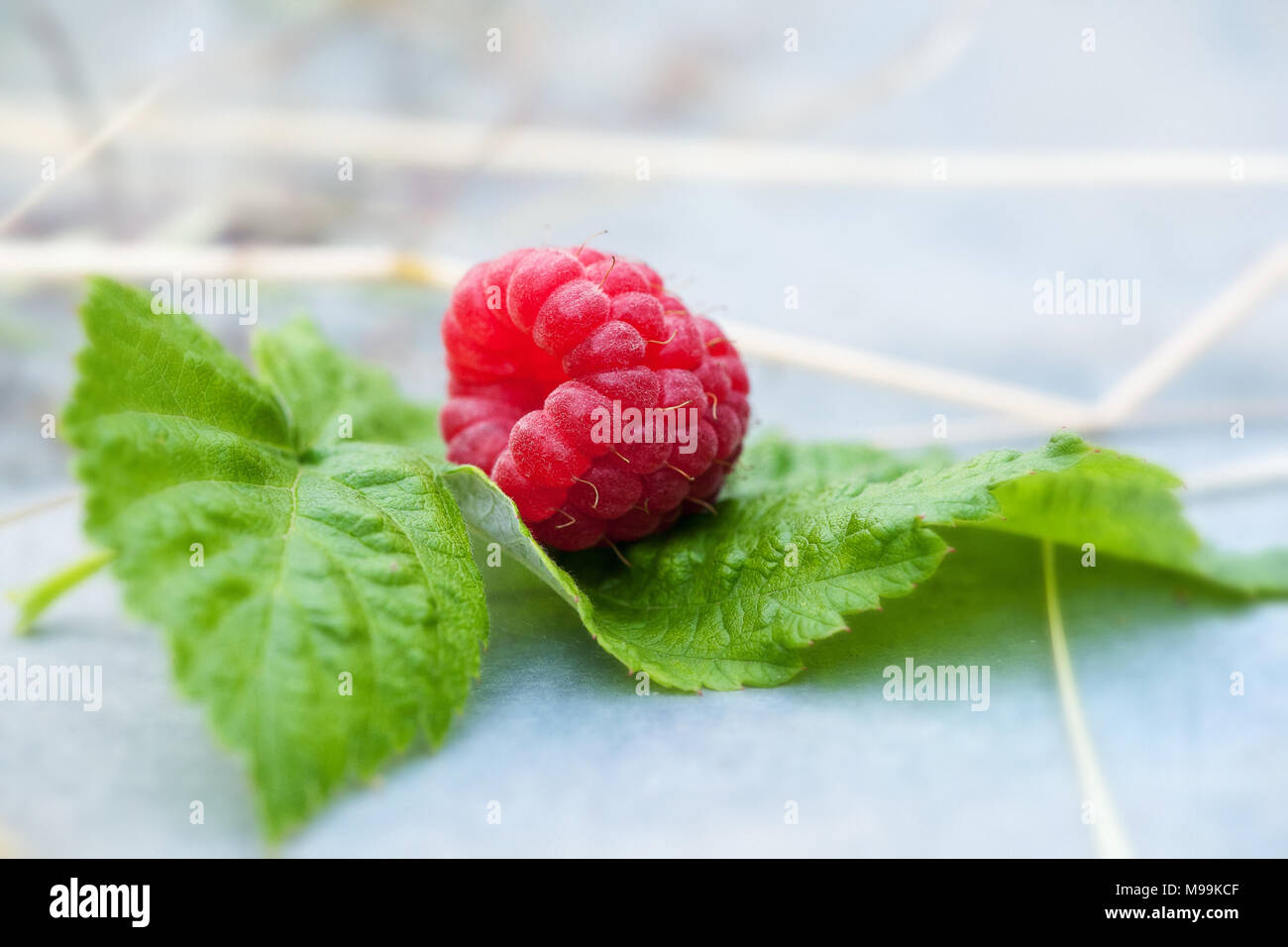 Raspberry with green leaf. Stock Photo