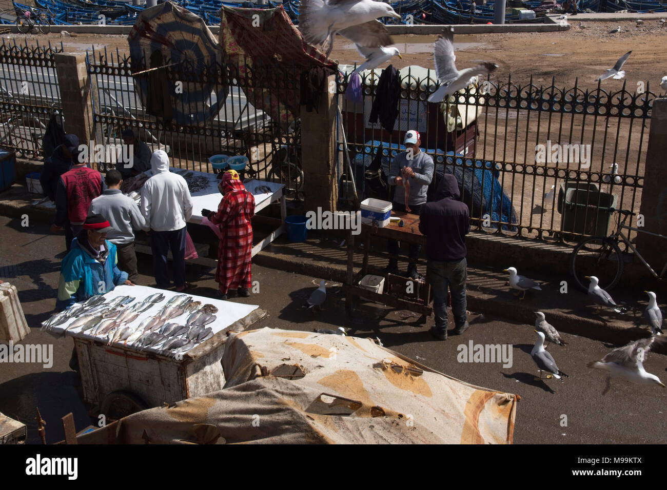 Selling fresh fish on stall within fishing port Stock Photo