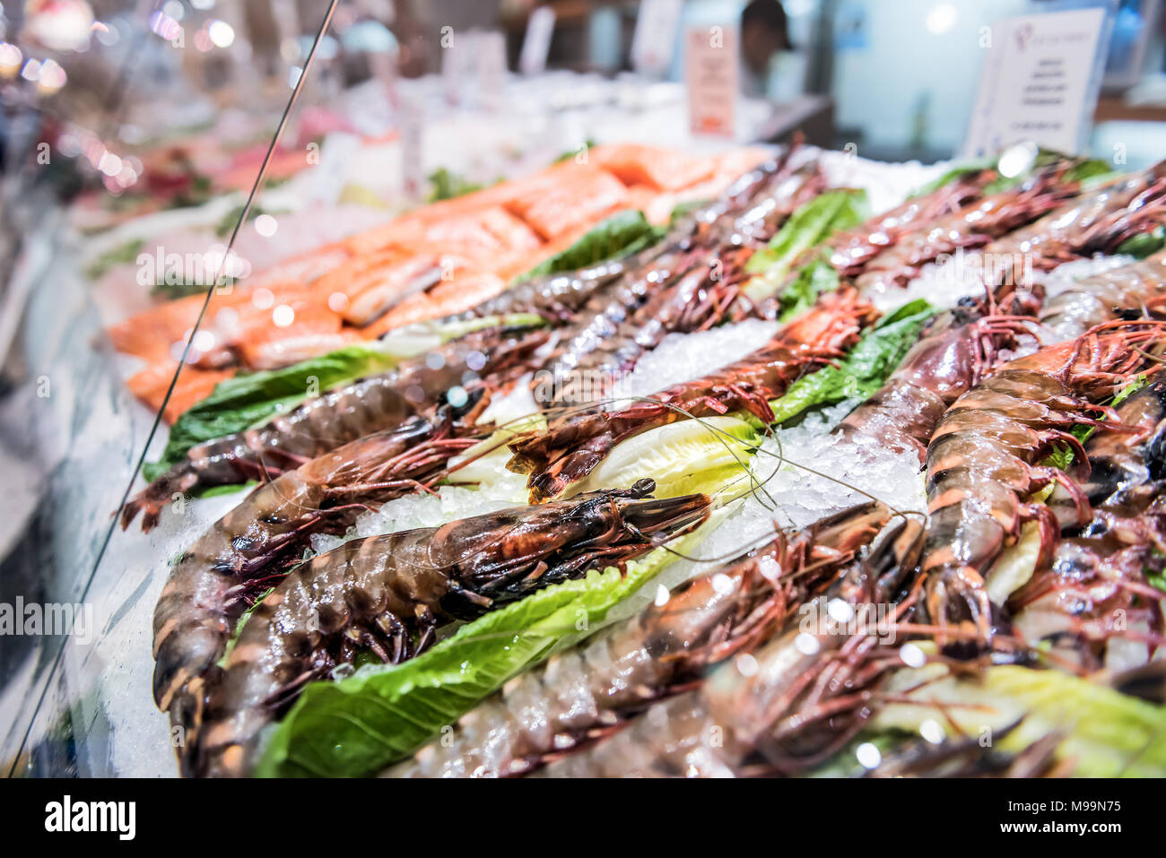 Closeup of large raw dark red prawns shrimp crustacean lobster crawfish
