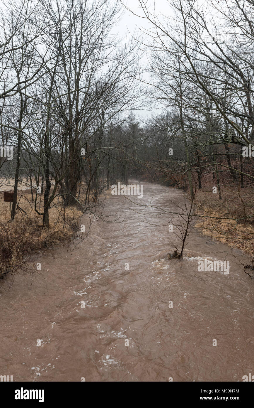 swollen muddy stream through the woods overflowing its banks while it is raining Stock Photo