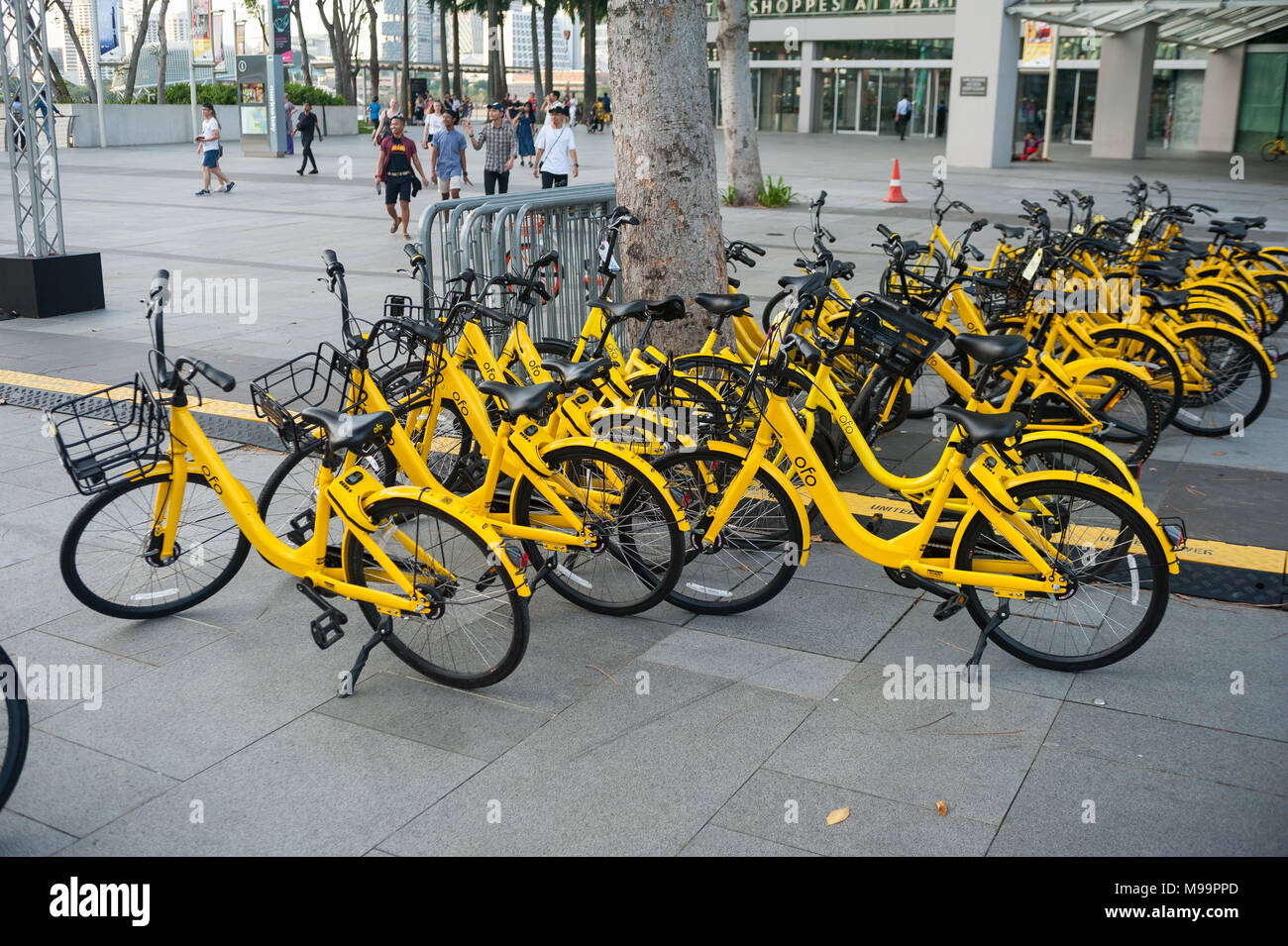 22.03.2018, Singapore, Republic of Singapore, Asia - Parked Ofo rental bikes in Marina Bay. The station-free rental bikes are distributed across town. Stock Photo