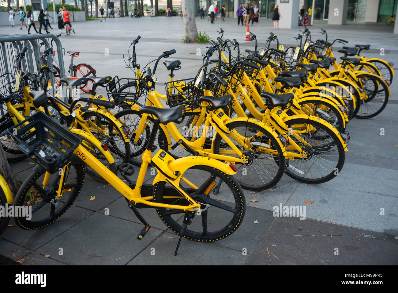 22.03.2018, Singapore, Republic of Singapore, Asia - Parked Ofo rental bikes in Marina Bay. The station-free rental bikes are distributed across town. Stock Photo