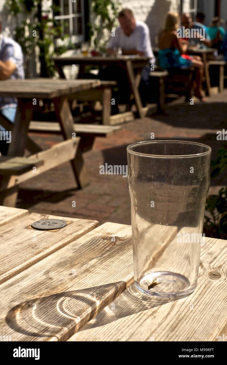 There's a wasp in my beer glass! The Tiger pub (public house), East Dean summer 2012 Stock Photo