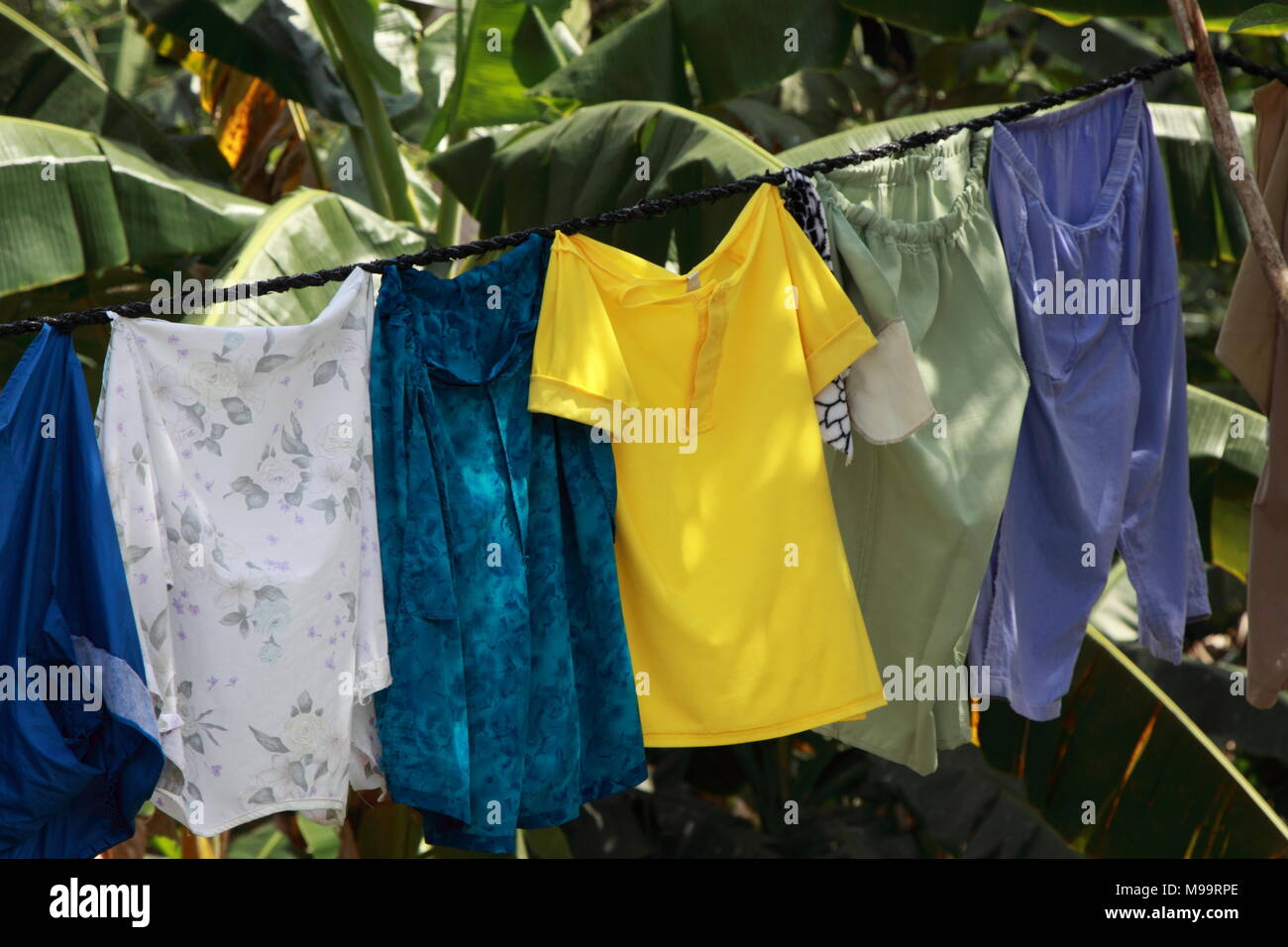 Clean laundry hanging to dry in the open air in the rainforest, Cuba. Stock Photo