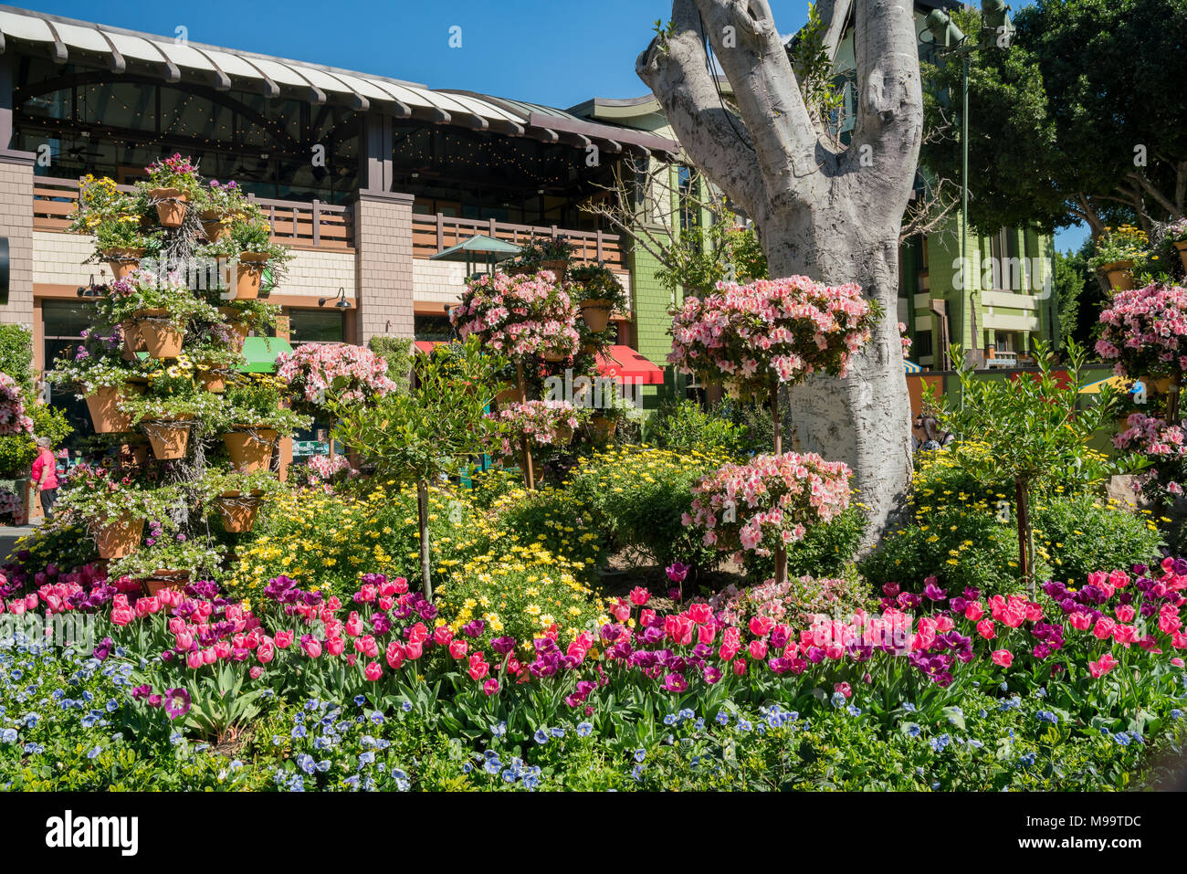 Los Angeles, FEB 18 Beautiful stores in downtown Disney District on