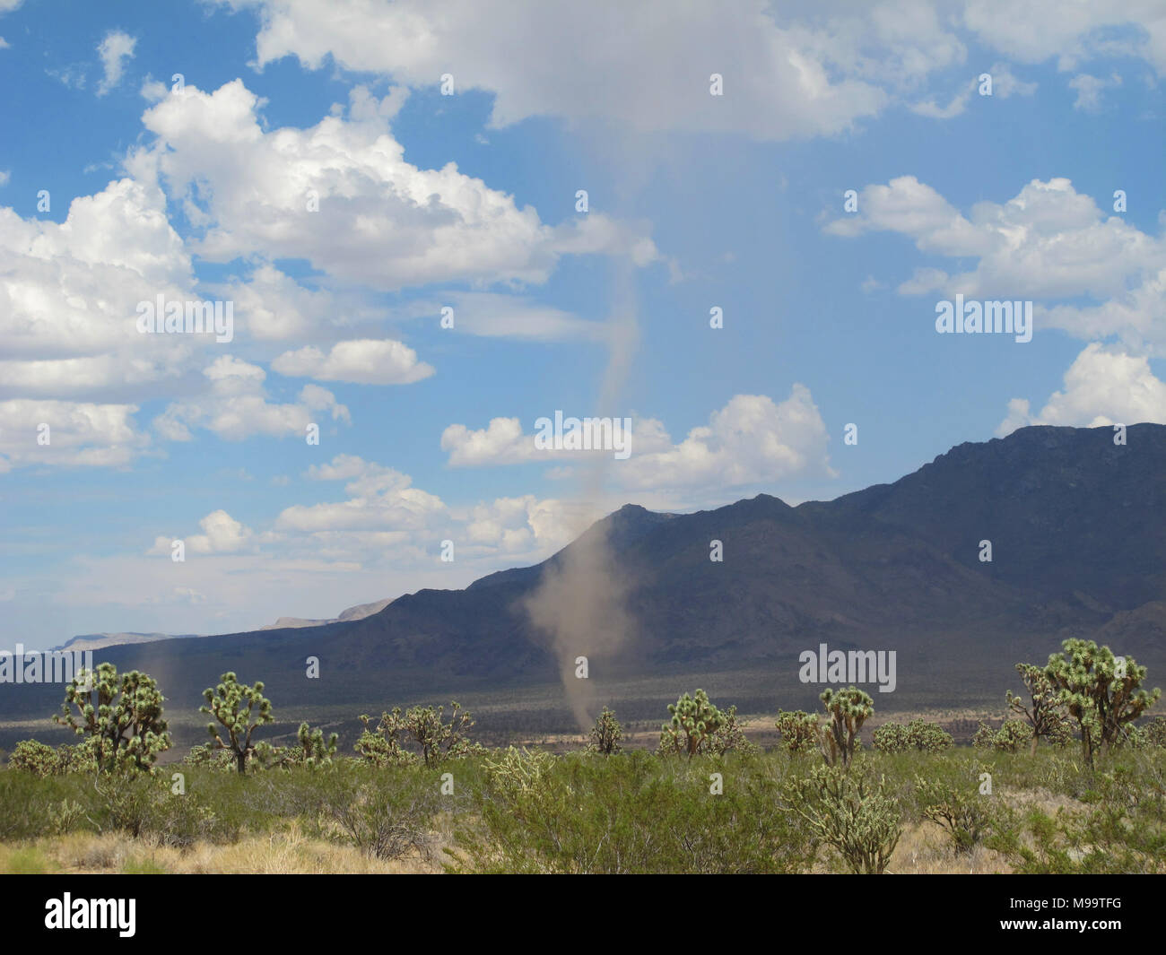 Dust devils (whirlwinds) at Arizona. Stock Photo