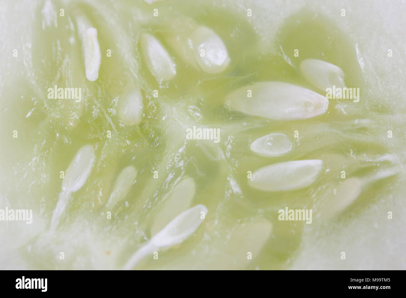 cucumber isolate on white background Stock Photo