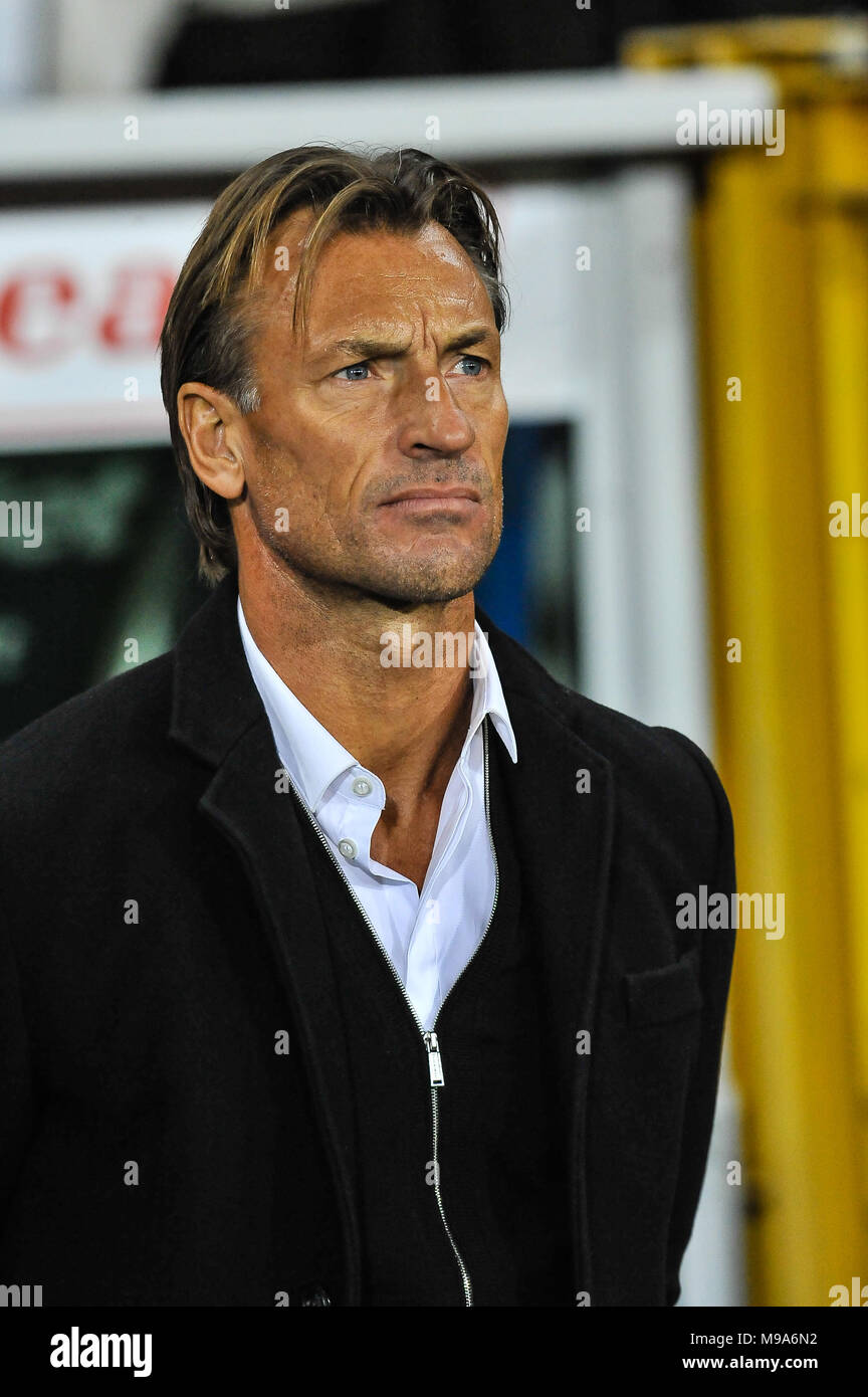 5 Facts And 5 Photo of Herve Renard CRICKET UPDATE