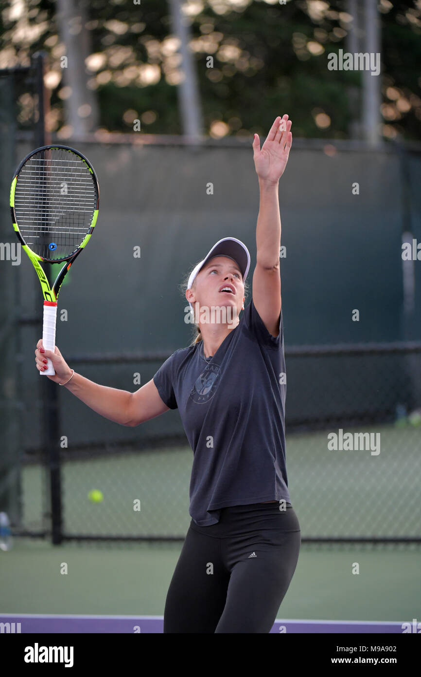 How to make essential oils for diffusers Miami open tennis coverage