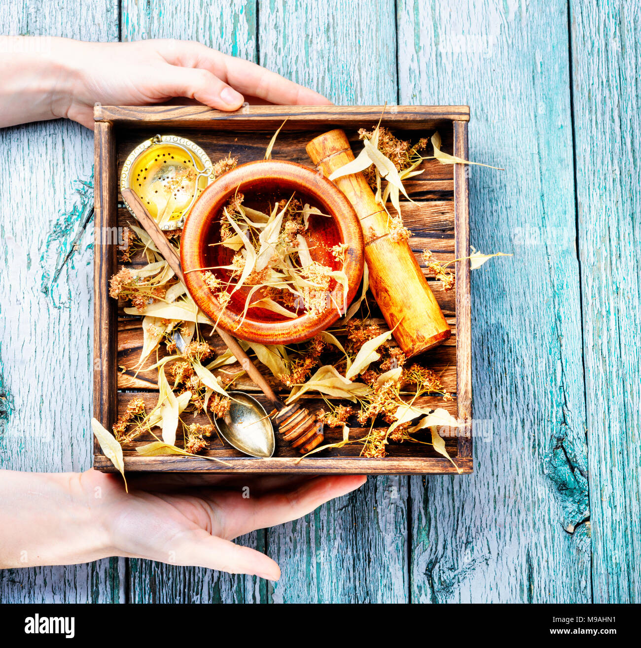 Therapeutic herb hi-res stock photography and images - Alamy