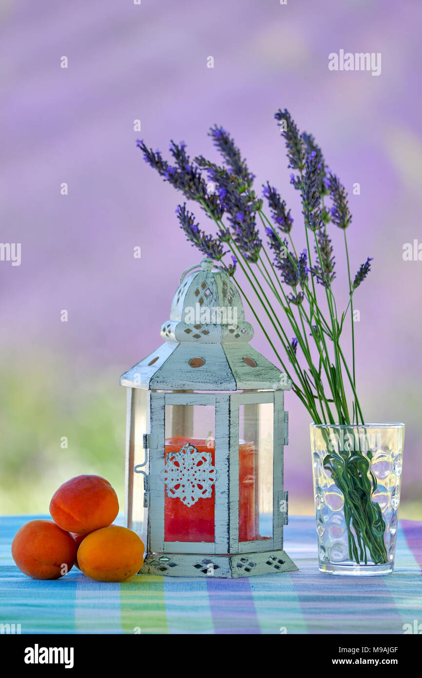 Summer time. Sunny garden. Lavender field, Provence. Stock Photo