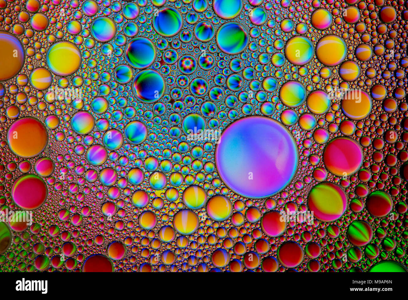 Colorful abstract oil bubbles in water Stock Photo Alamy