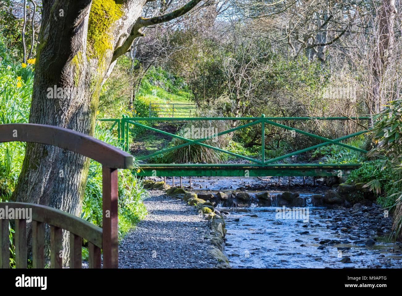 Bridge over stream in Spring, at Port Grenaugh, Isle of Man. Stock Photo
