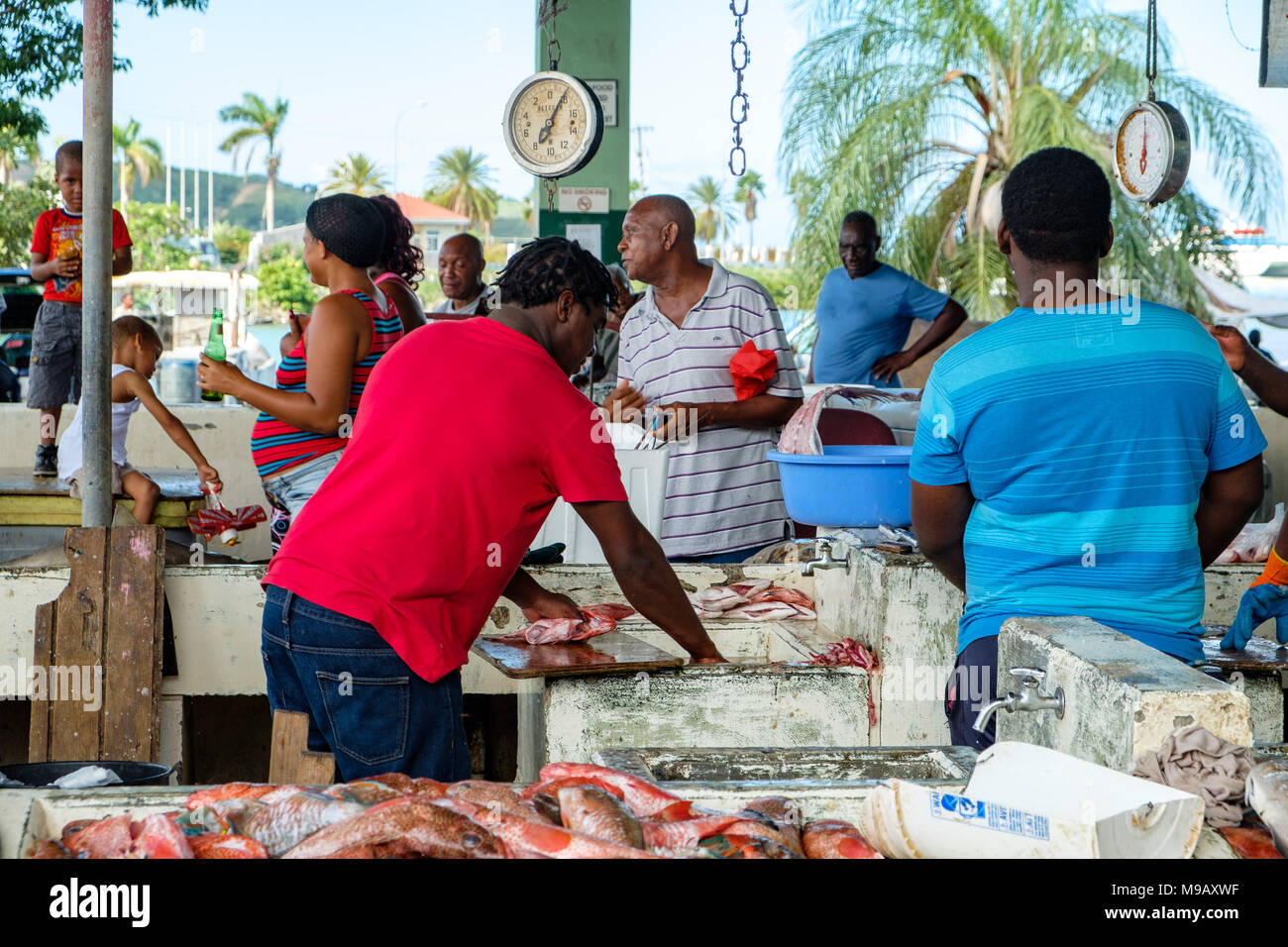 St. Johns Public Fish Market, St. John's, Antigua Stock Photo Alamy