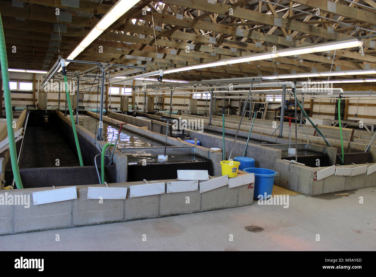 Raceways for Urban Fishing Stock Photo - Alamy