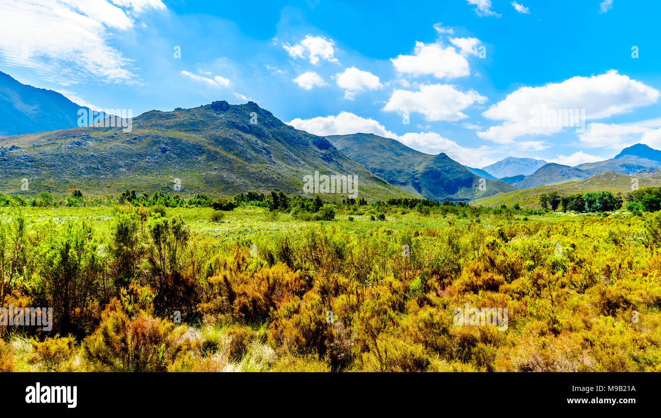 Wemmershoek valley hi-res stock photography and images - Alamy