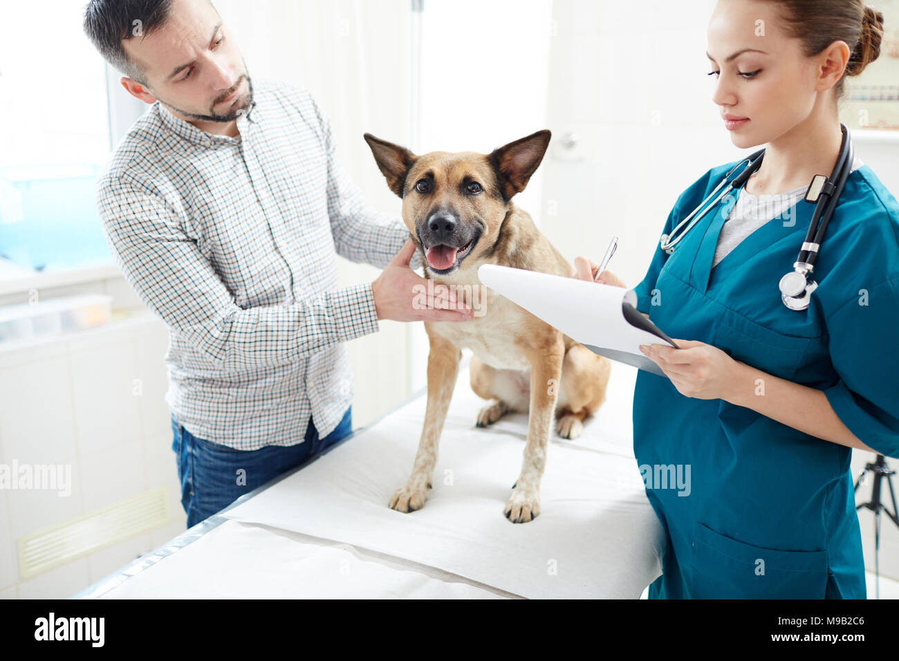 Prescriptions of vet Stock Photo Alamy
