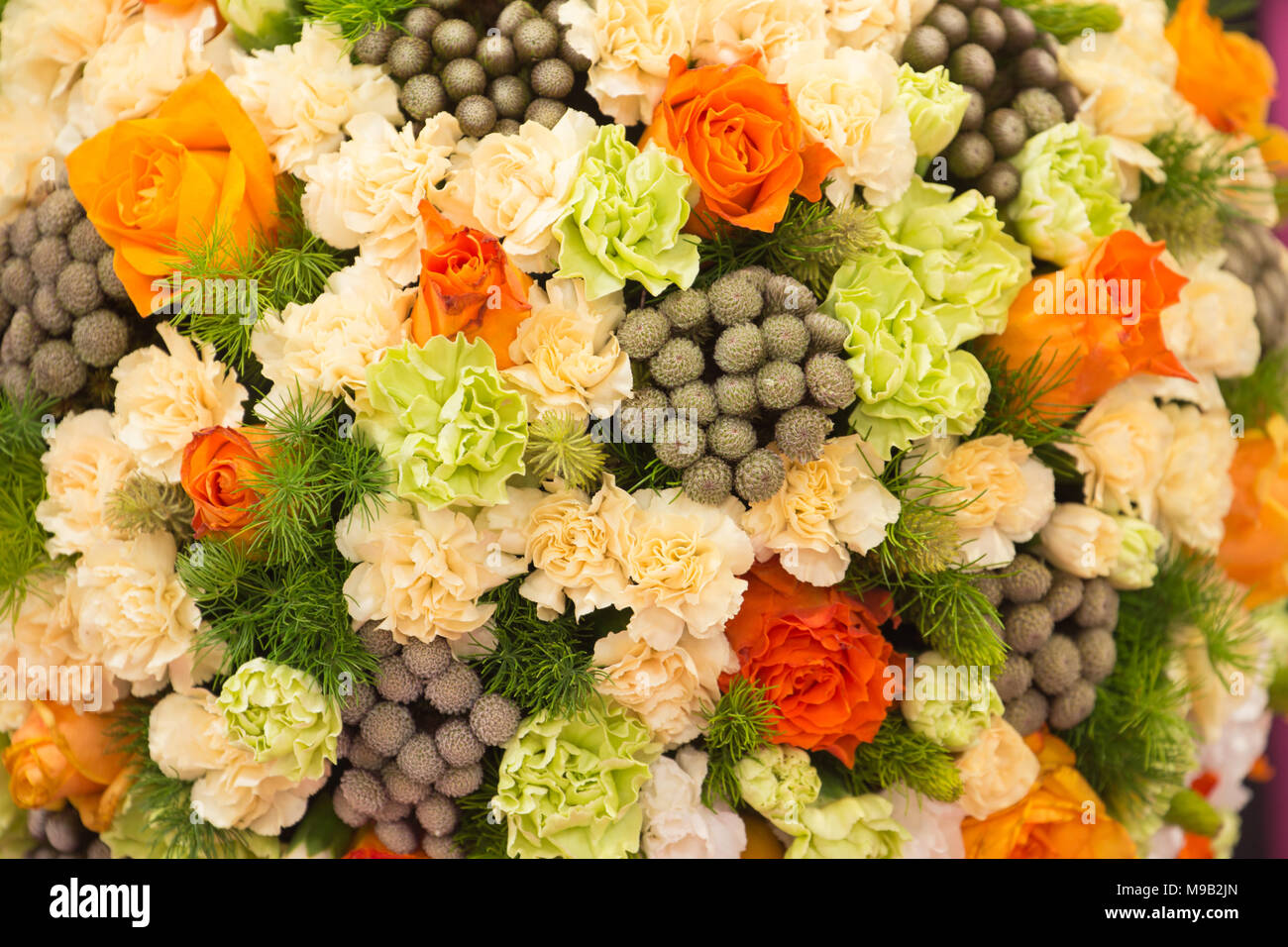 Spring flowers floral garden hi-res stock photography and images - Alamy