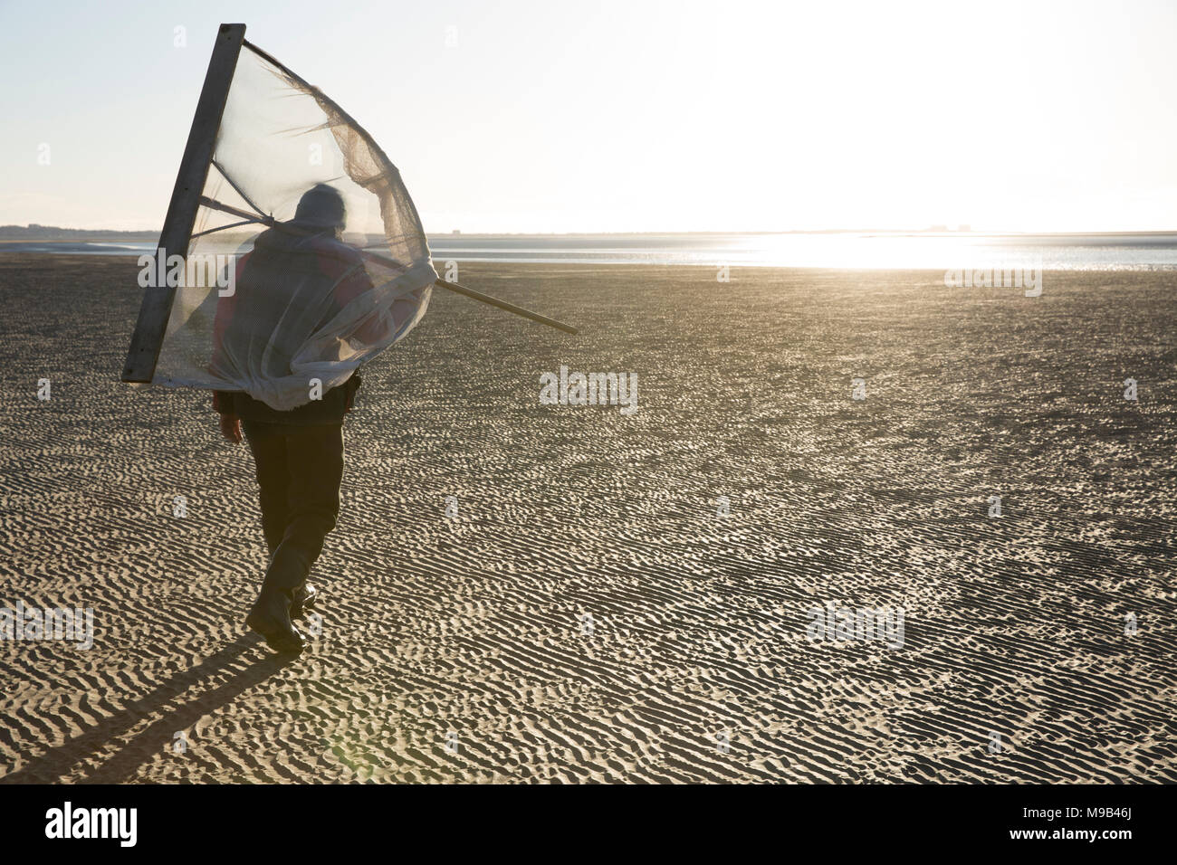 Net fishing for shrimps hi-res stock photography and images - Page 3 - Alamy