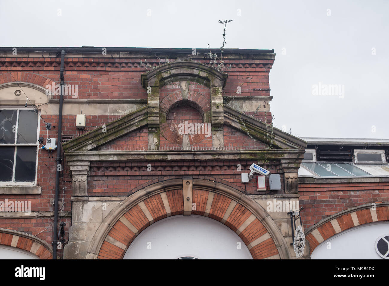 Plant growing out of brickwork hi-res stock photography and images - Alamy