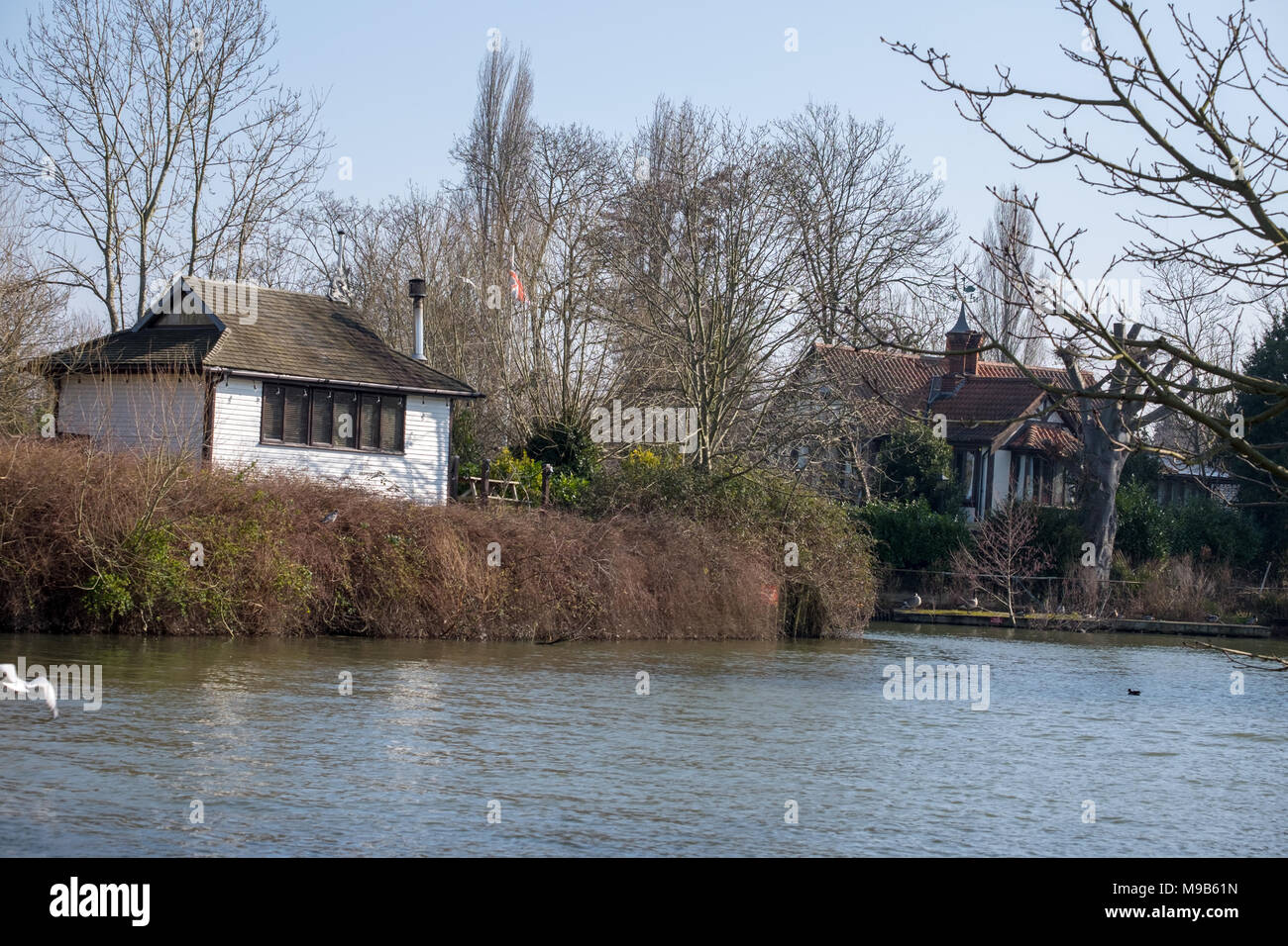 river thames at thames ditton island Stock Photo Alamy