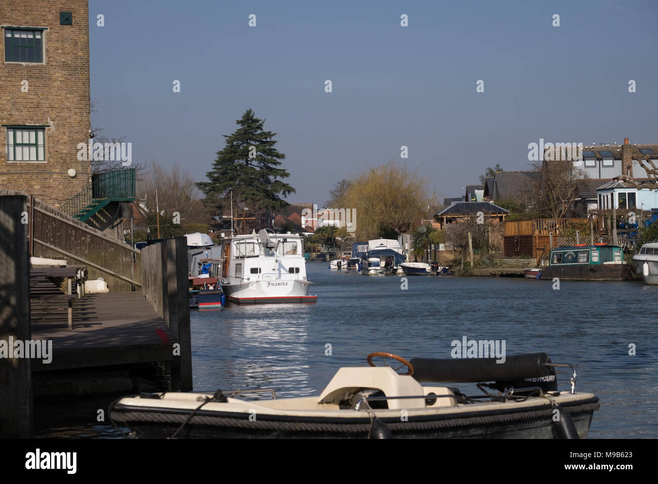 river thames at thames ditton island Stock Photo Alamy