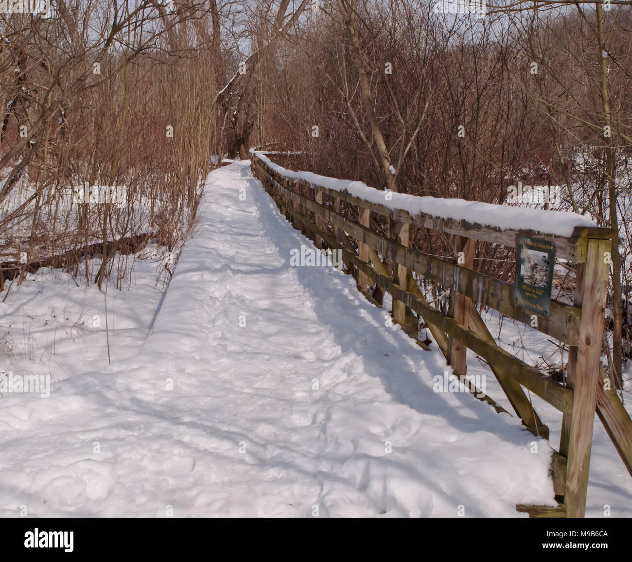A snow covered wooden walkway through winter woods Stock Photo Alamy
