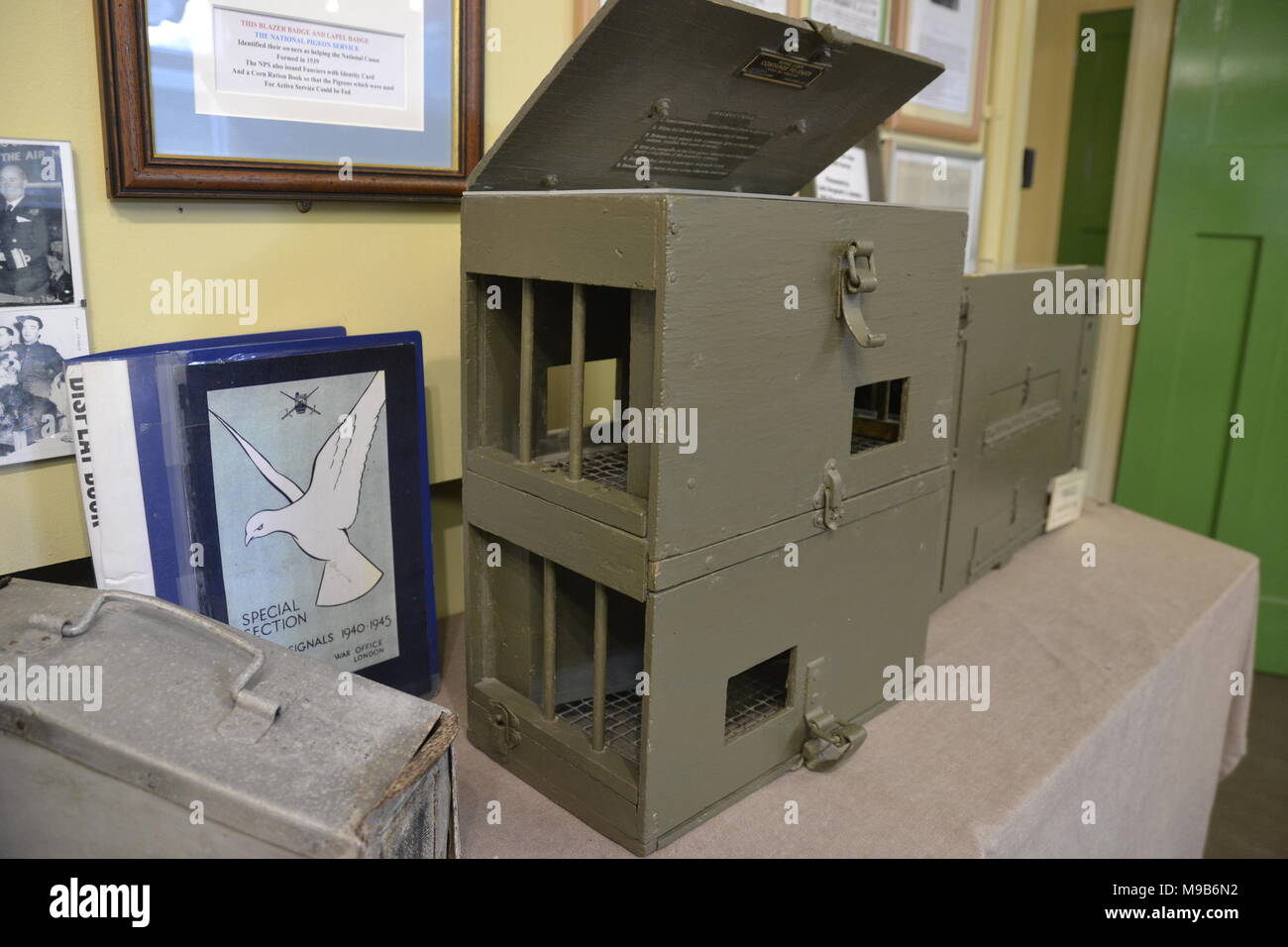 Pigeon Box High Resolution Stock Photography and Images Alamy