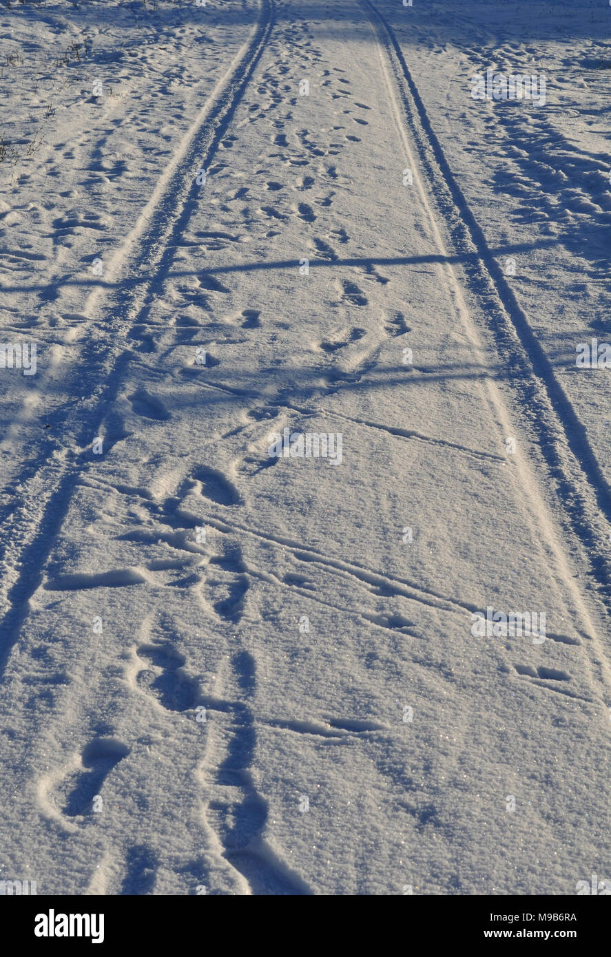 tire tracks and footprints in snow Stock Photo