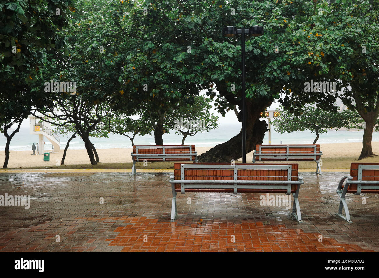 Wooden bench under tree at rainy day in Shek o beach, Hong Kong Stock