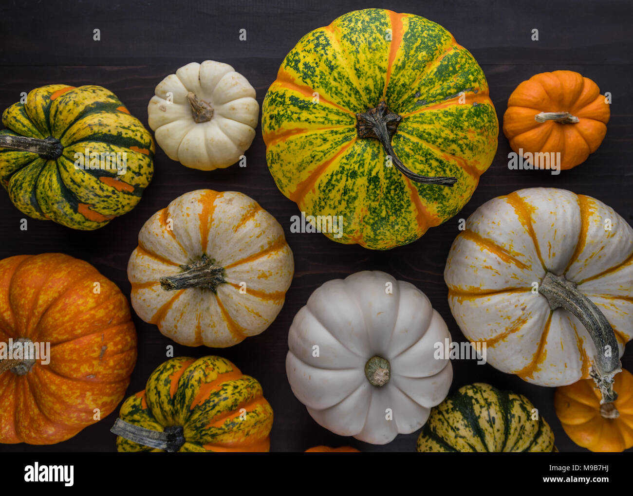 Variety of Pumpkins and Squash Stock Photo Alamy
