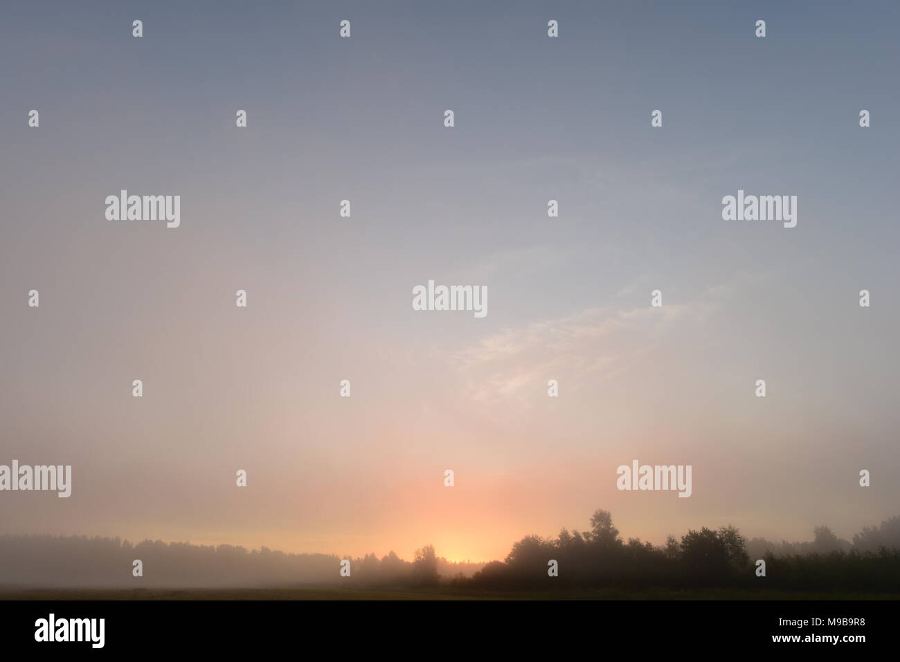Sunrise in the summer morning haze of fog over the field Stock Photo