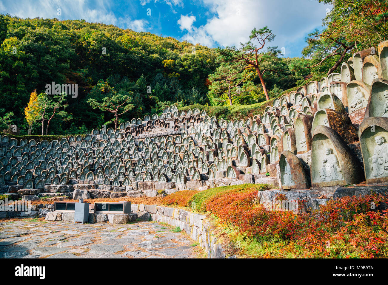 Buddha statue in Wawoo Temple, Korea Stock Photo - Alamy