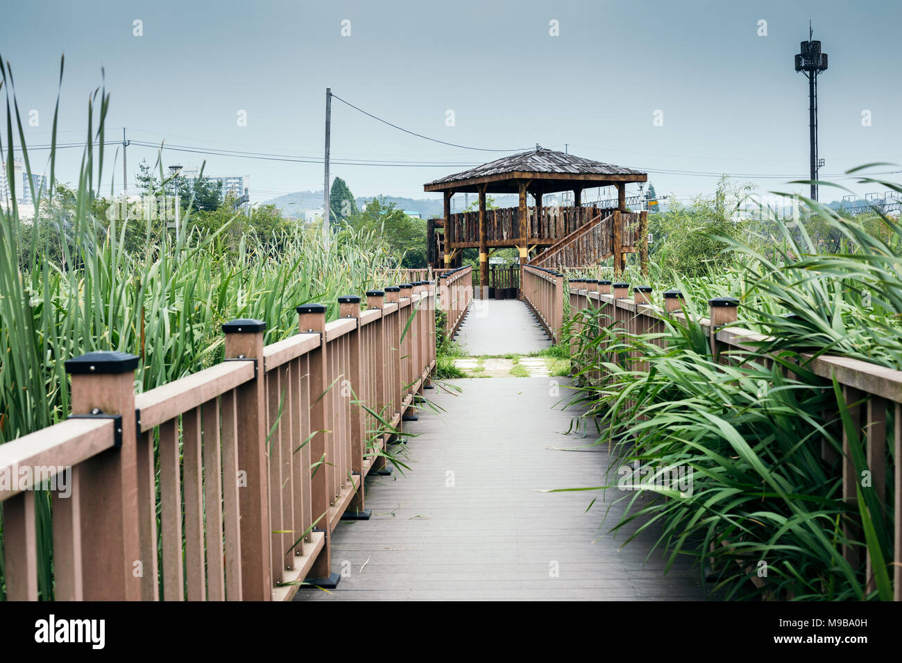 Wooden gazebo and windy wetland park in summer day in Korea Stock Photo