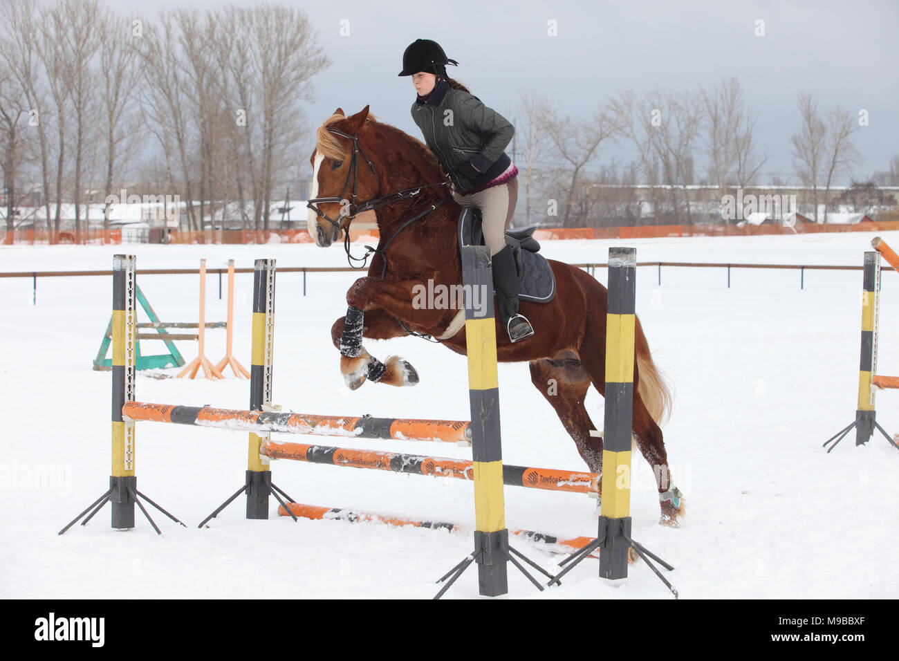 A girl on a horse jumps over the barrier. Training girl jockey riding a horse. A cloudy winter day Stock Photo