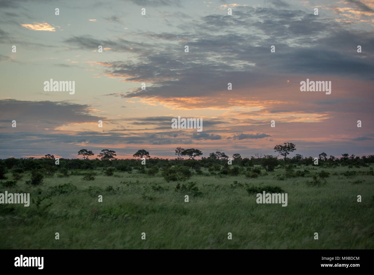 Sunset sunrise in Kruger South Africa Stock Photo - Alamy