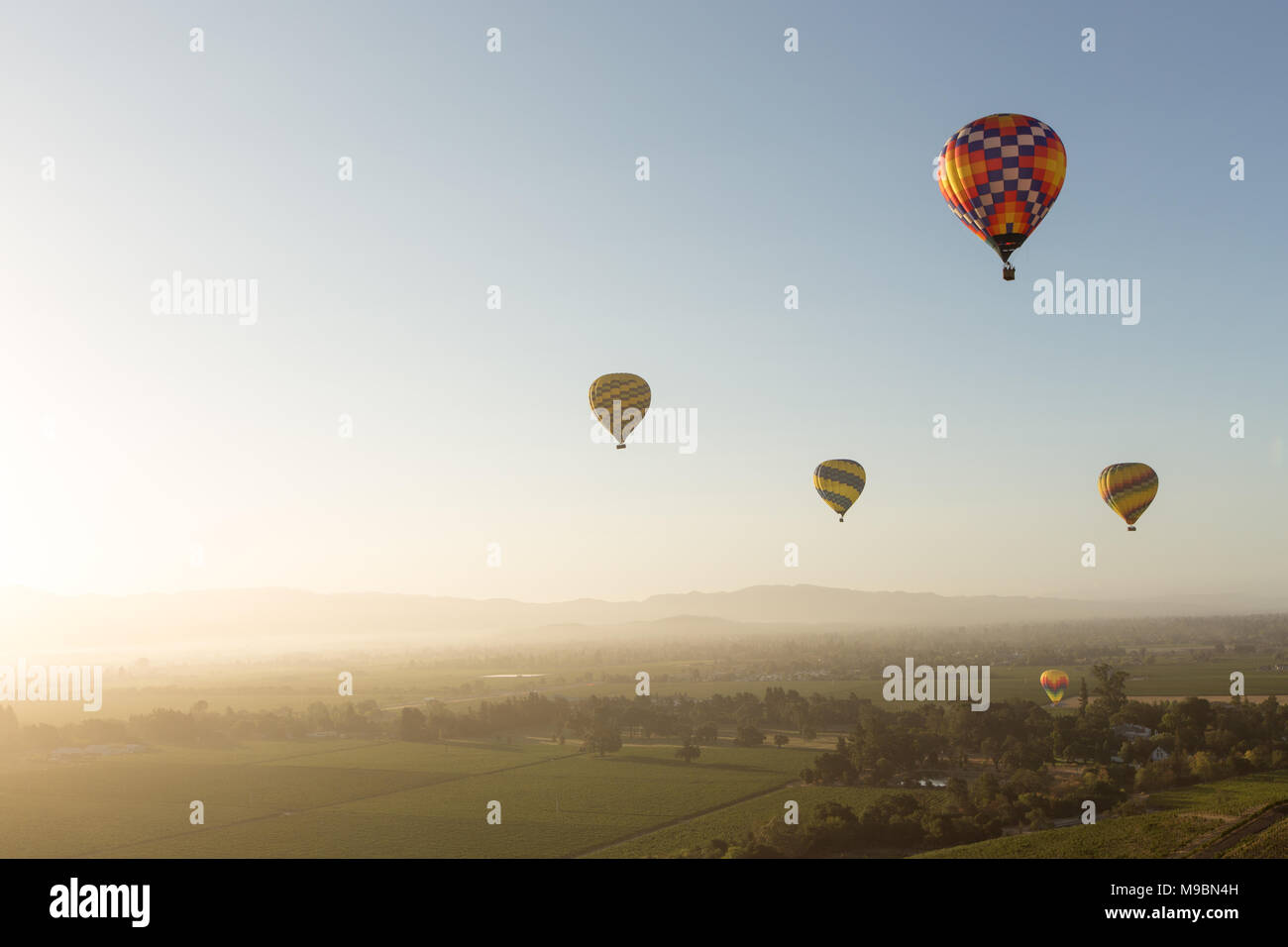 Hot air balloons over Napa Valley at sunrise Stock Photo