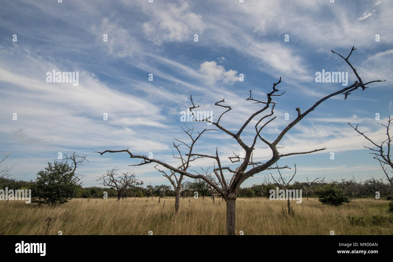 Chalfont st peter hires stock photography and images Alamy