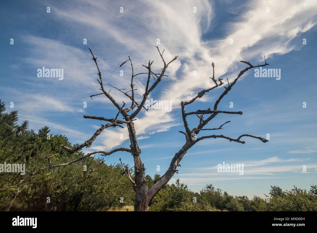 Chalfont st peter hires stock photography and images Alamy